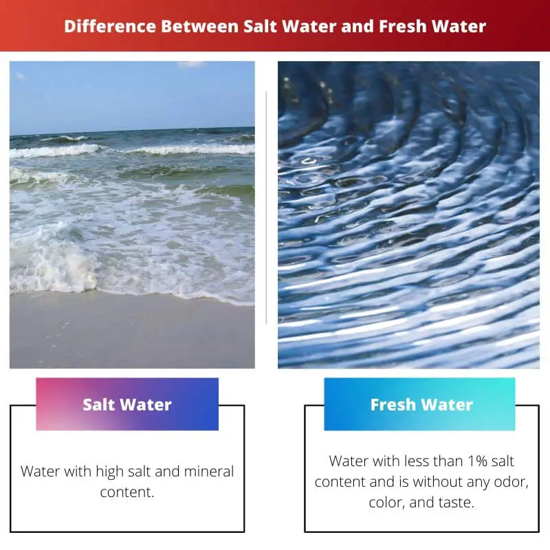 Difference Between Salt Water and Fresh Water