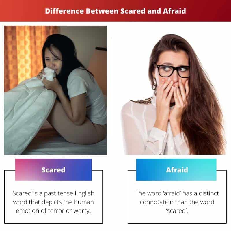 scared-vs-afraid-difference-and-comparison