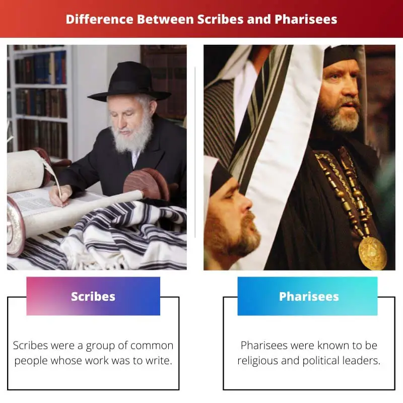 Difference Between Scribes and Pharisees