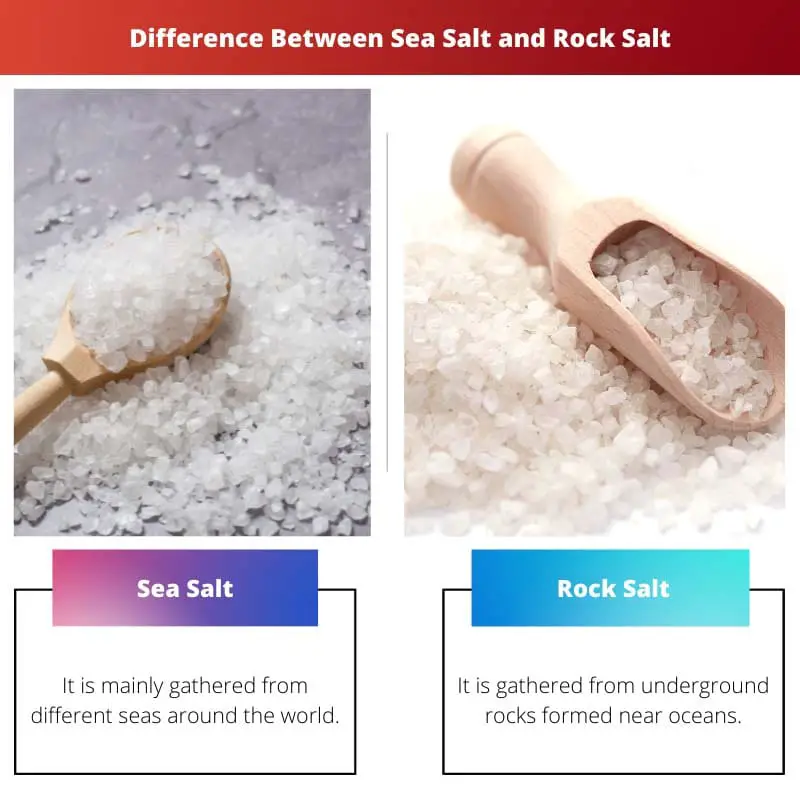 Difference Between Sea Salt and Rock Salt