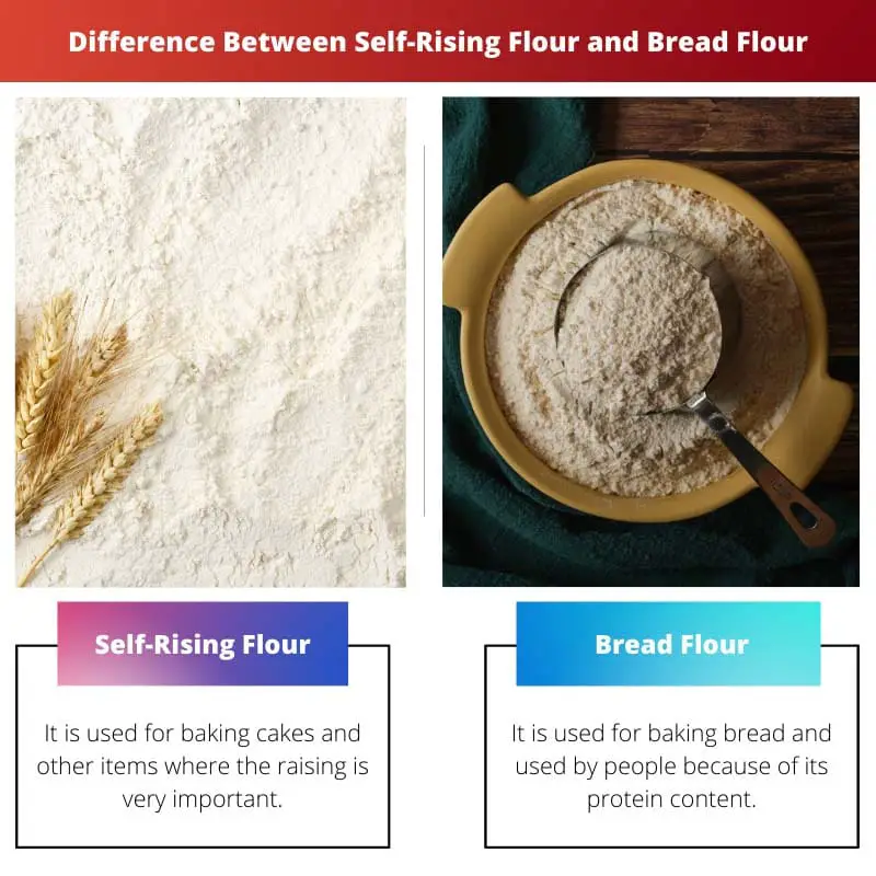 Différence entre la farine auto-levante et la farine à pain