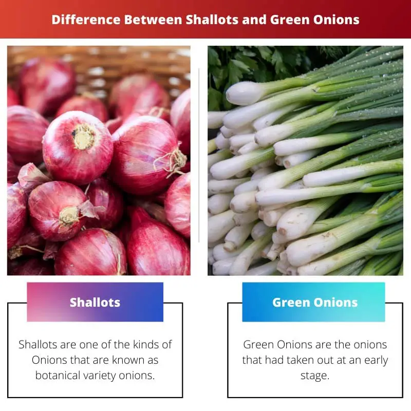 Diferencia entre chalotes y cebollas verdes