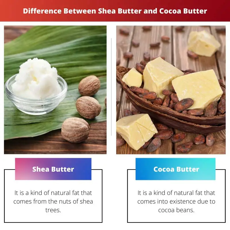 Différence entre le beurre de karité et le beurre de cacao