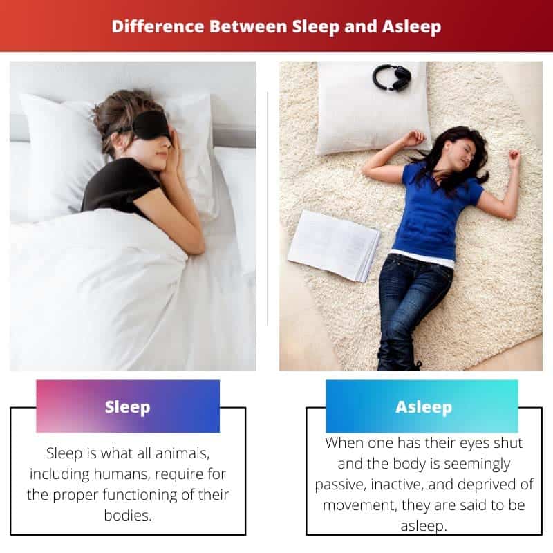 Difference Between Fell Asleep And Sleep