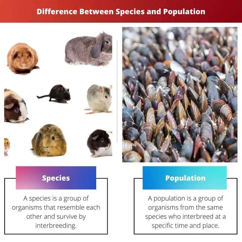 Difference Between Species and Population