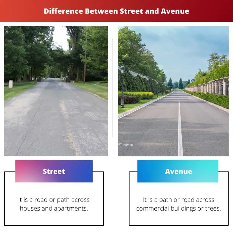 Diferença entre Rua e Avenida