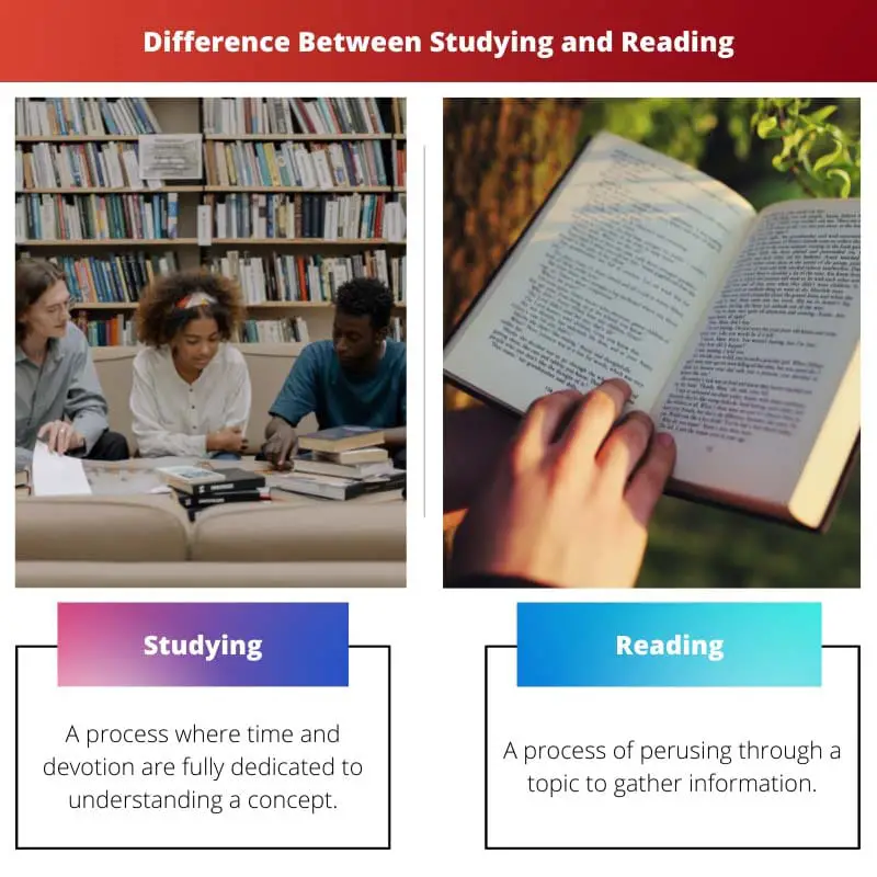 Difference Between Studying and Reading