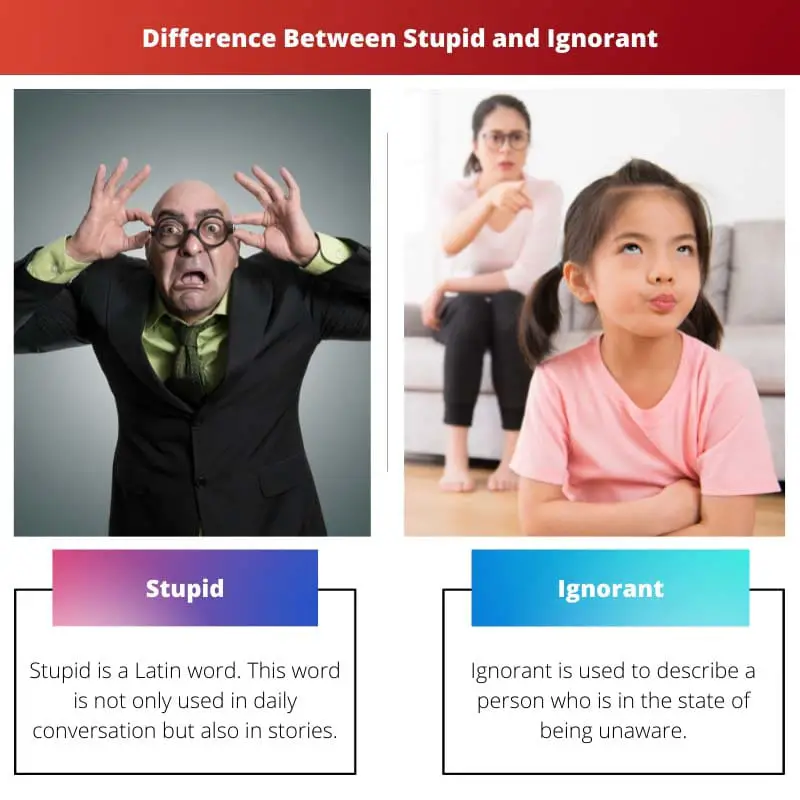 Différence entre stupide et ignorant