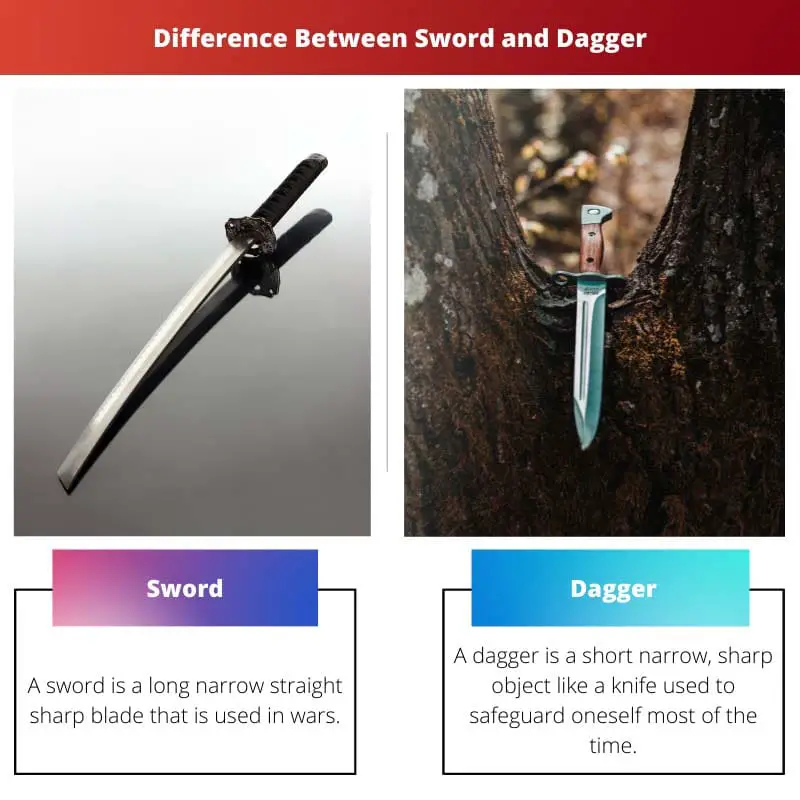Difference Between Sword and Dagger