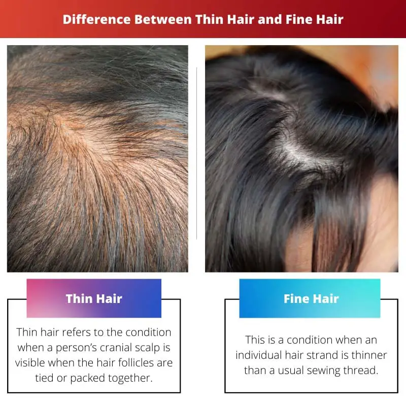 Difference Between Thin Hair and Fine Hair