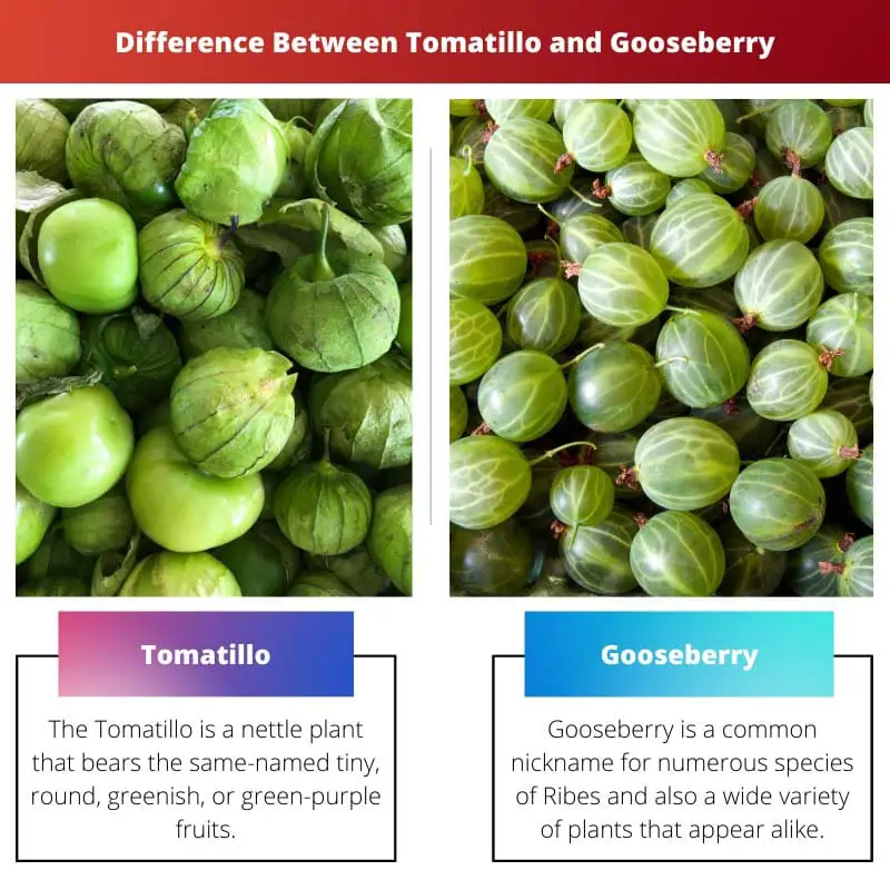 Difference Between Tomatillo and Gooseberry