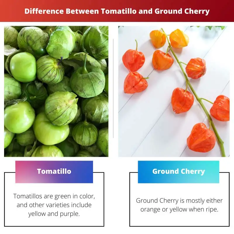 Diferencia entre tomatillo y cereza molida