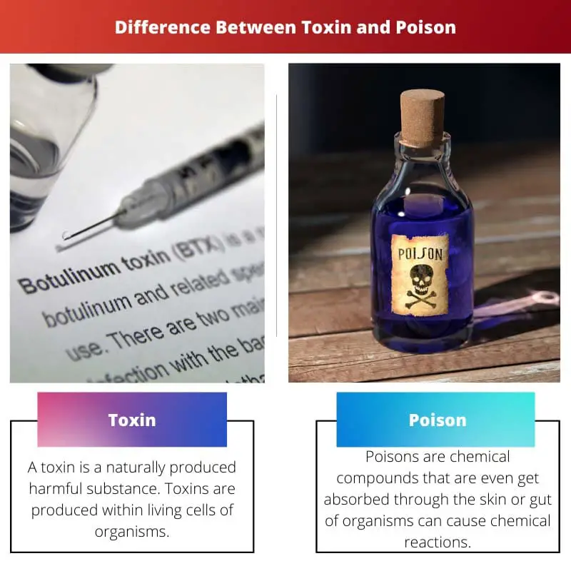 Difference Between Toxin and Poison