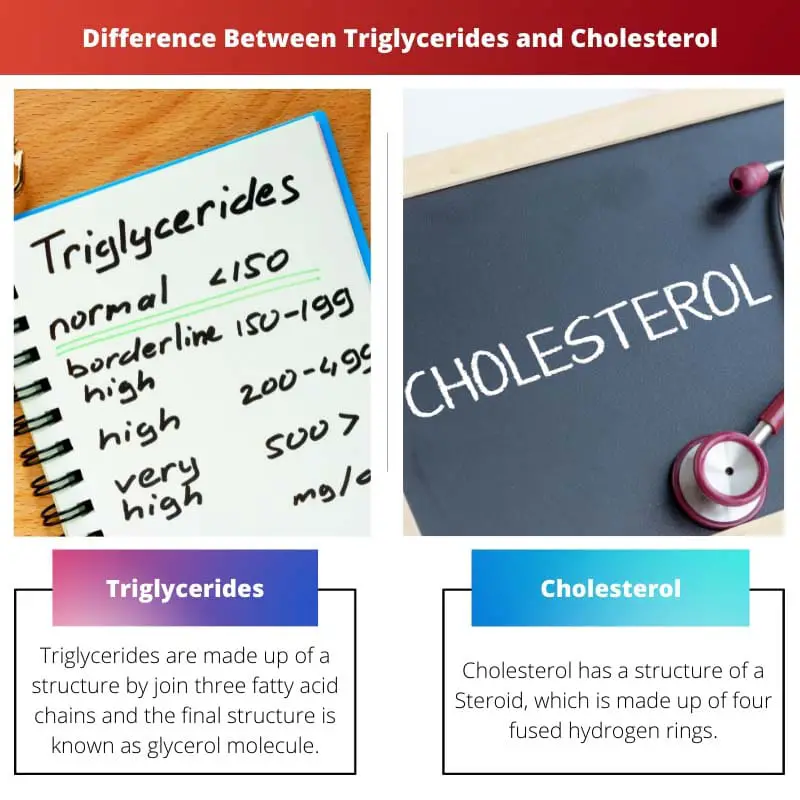 ट्राइग्लिसराइड्स और कोलेस्ट्रॉल के बीच अंतर