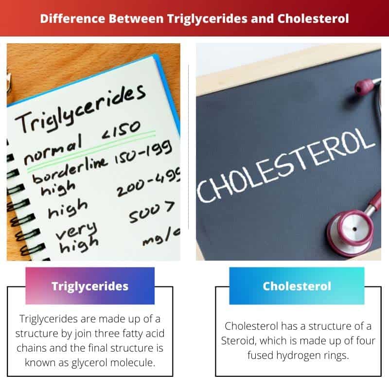 Difference Between Triglycerides and Cholesterol