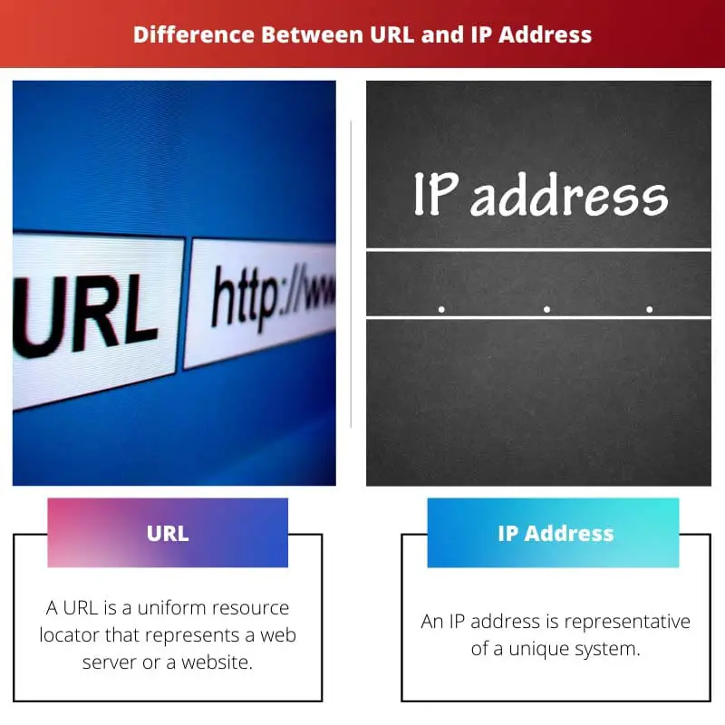 Difference Between URL and IP Address
