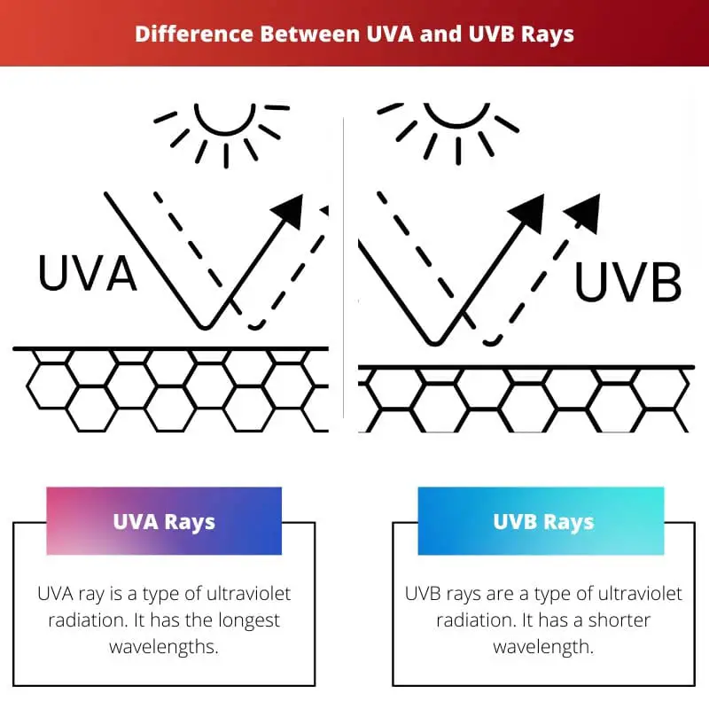 Difference Between UVA and UVB Rays