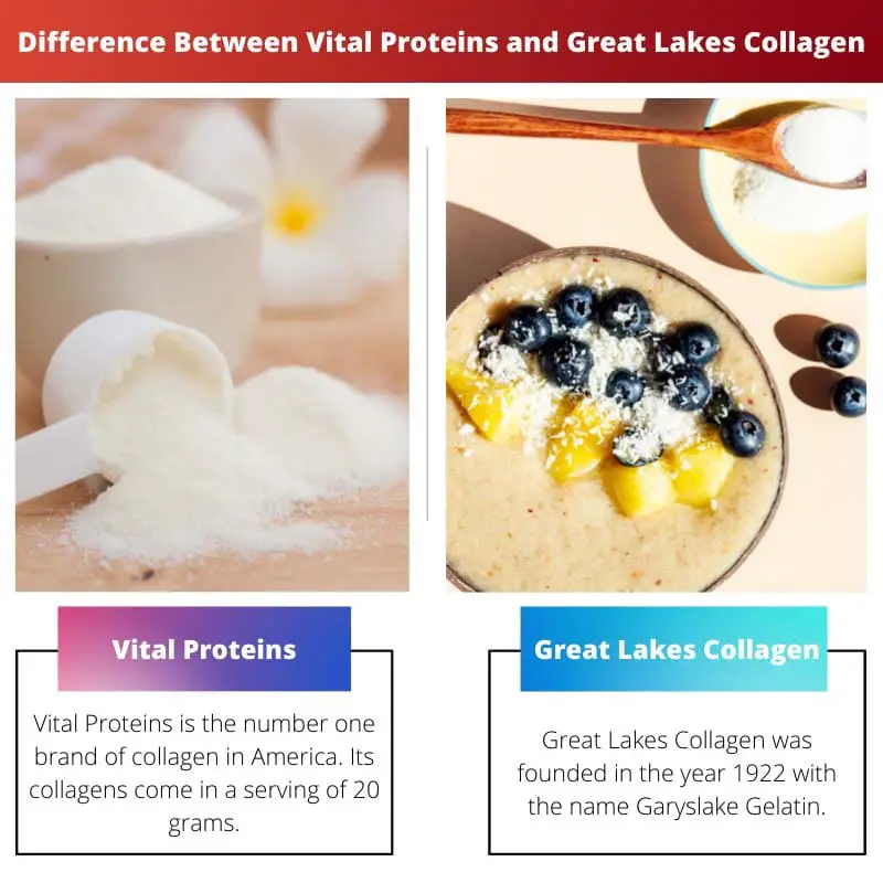 Difference Between Vital Proteins and Great Lakes Collagen
