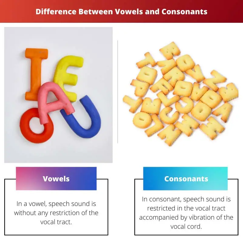Difference Between Vowels and Consonants