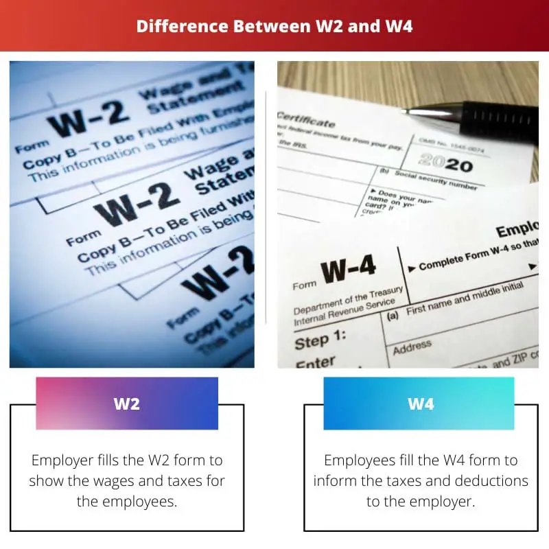 Difference Between W2 and W4