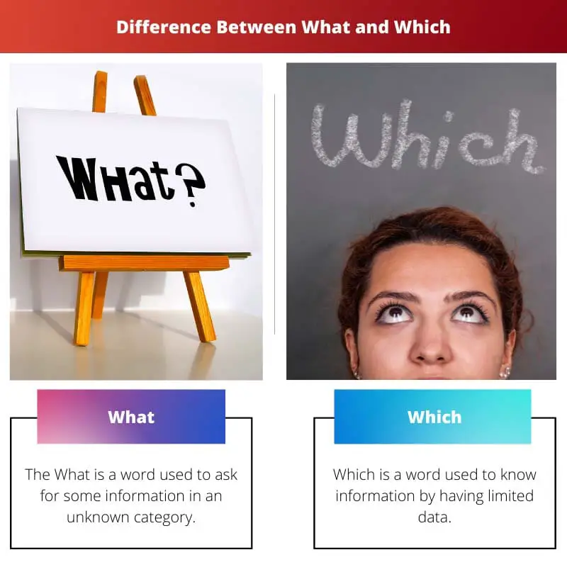 Difference Between What and Which