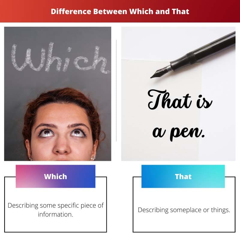 Difference Between Which and That