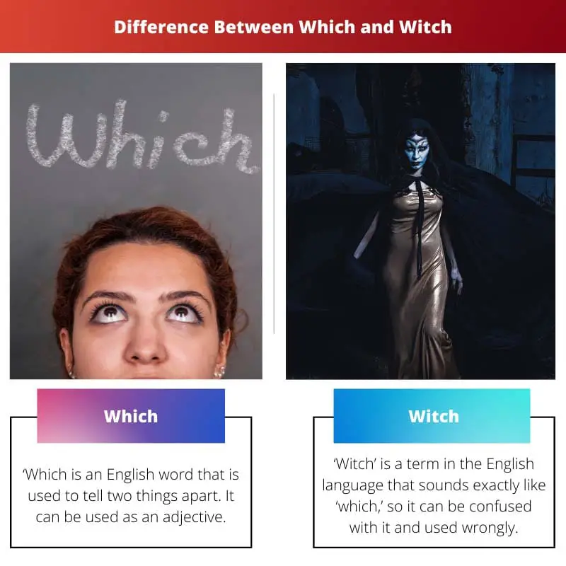 Різниця між Which і Witch