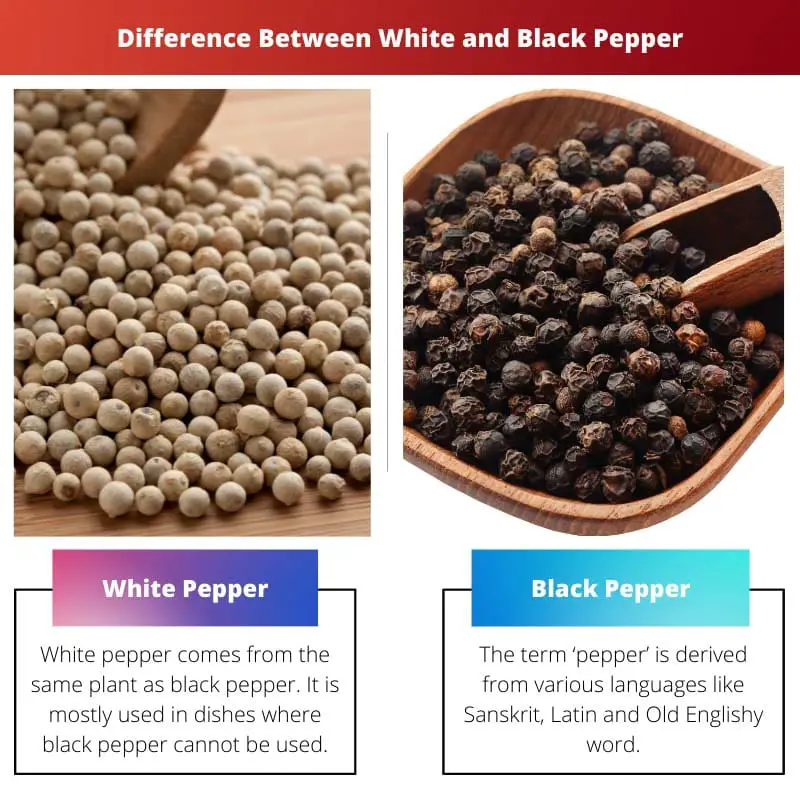 Difference Between White and Black Pepper