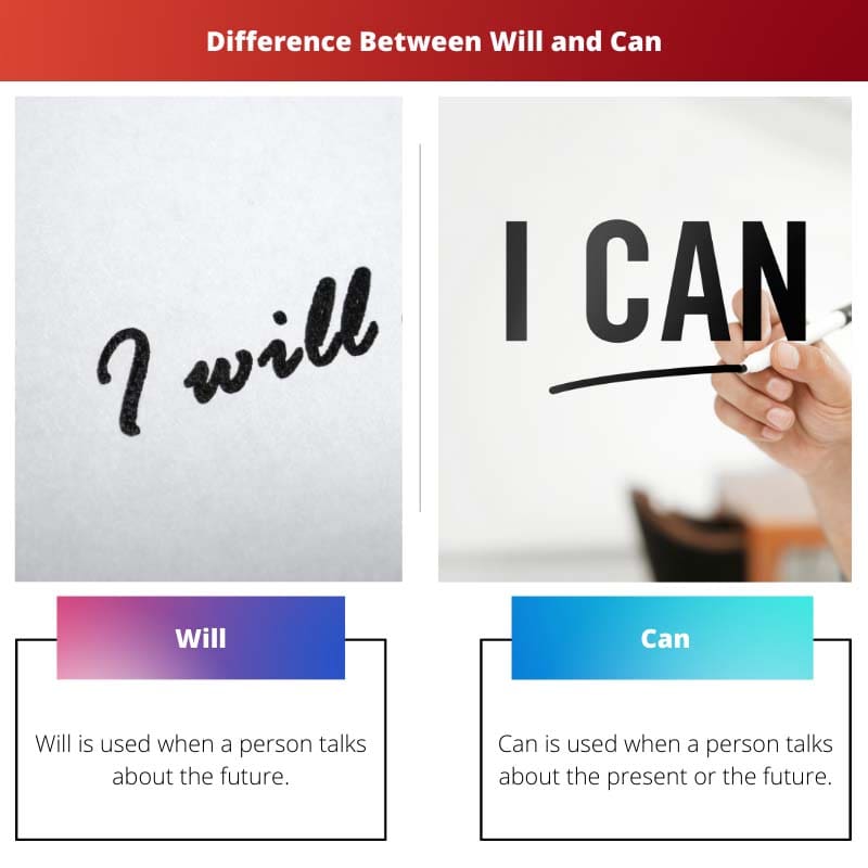 Difference Between Will and Can