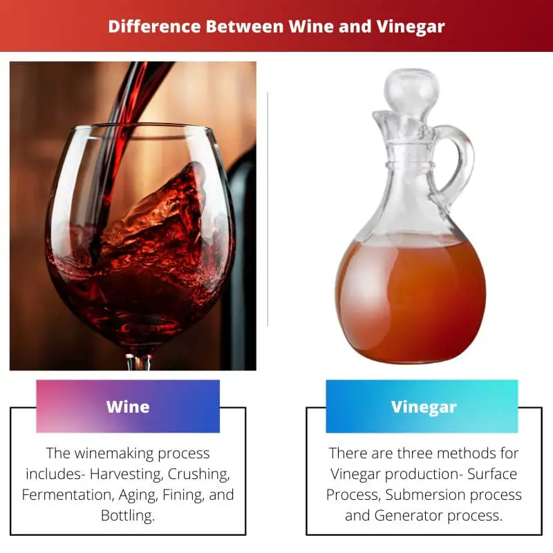 Difference Between Wine and Vinegar