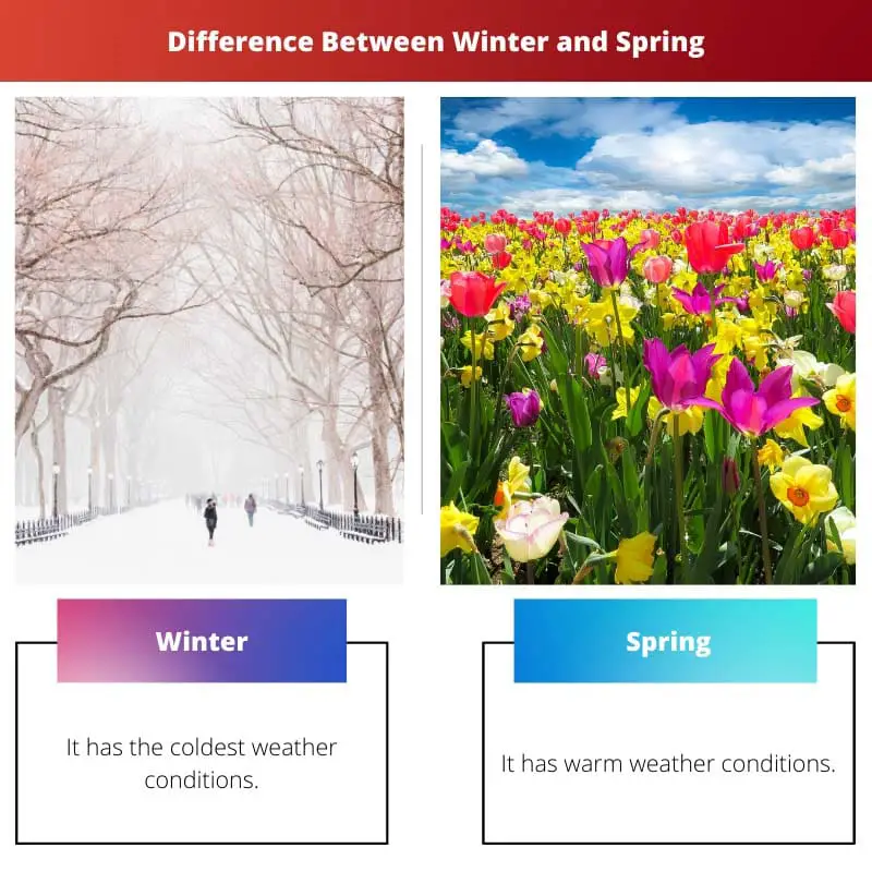 Різниця між зимою та весною