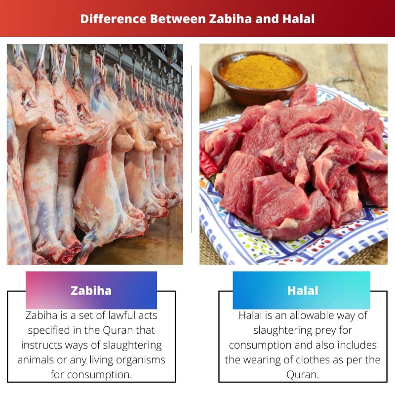 Difference Between Zabiha and Halal
