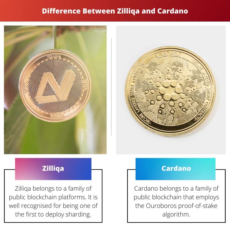 Difference Between Zilliqa and Cardano