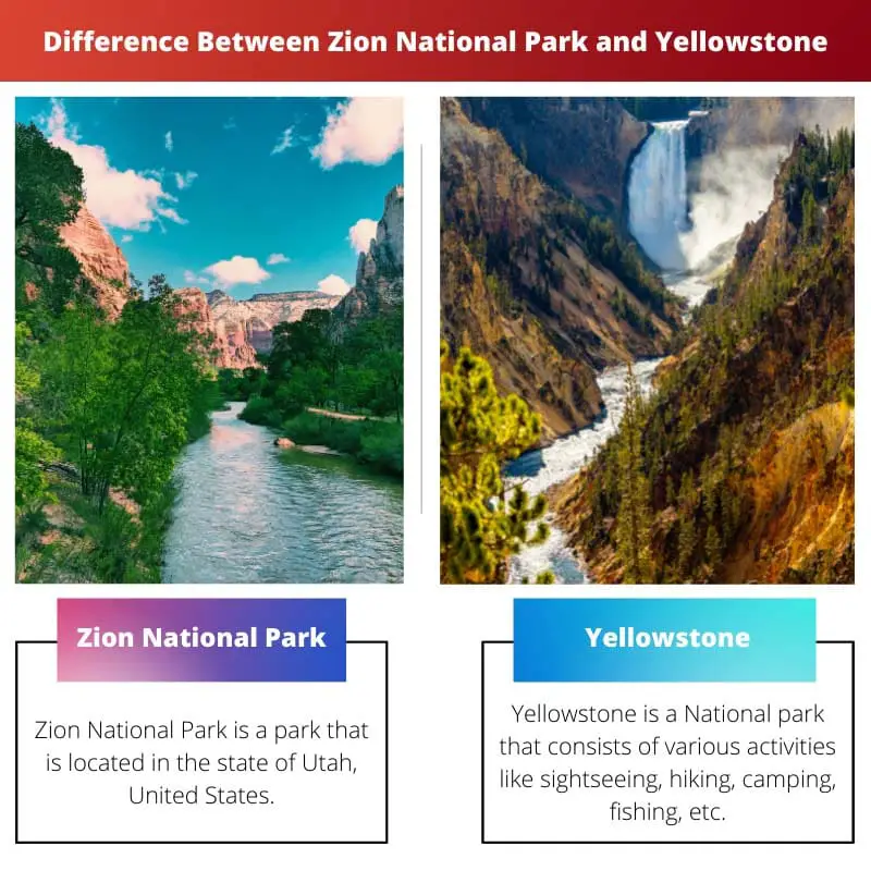 Difference Between Zion National Park and Yellowstone