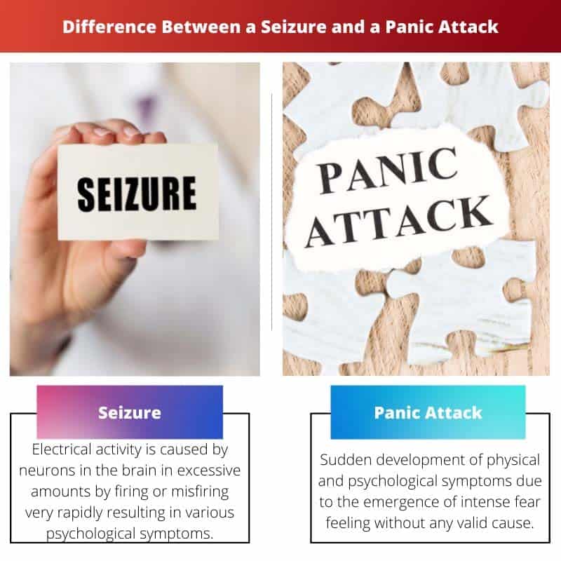 What Are The Symptoms Of A Panic Attack Seizure