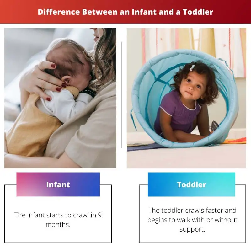 Diferencia entre un bebé y un niño pequeño