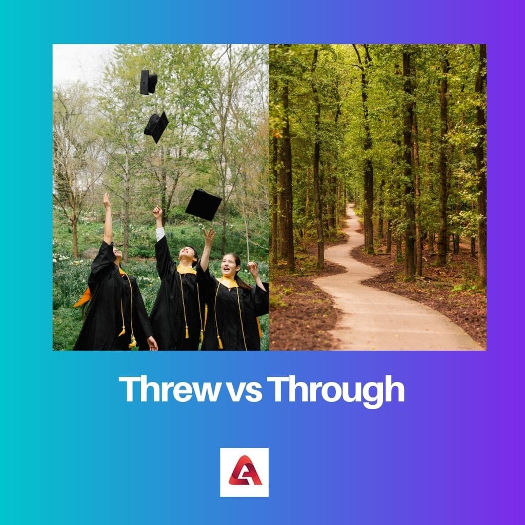 Threw vs Through
