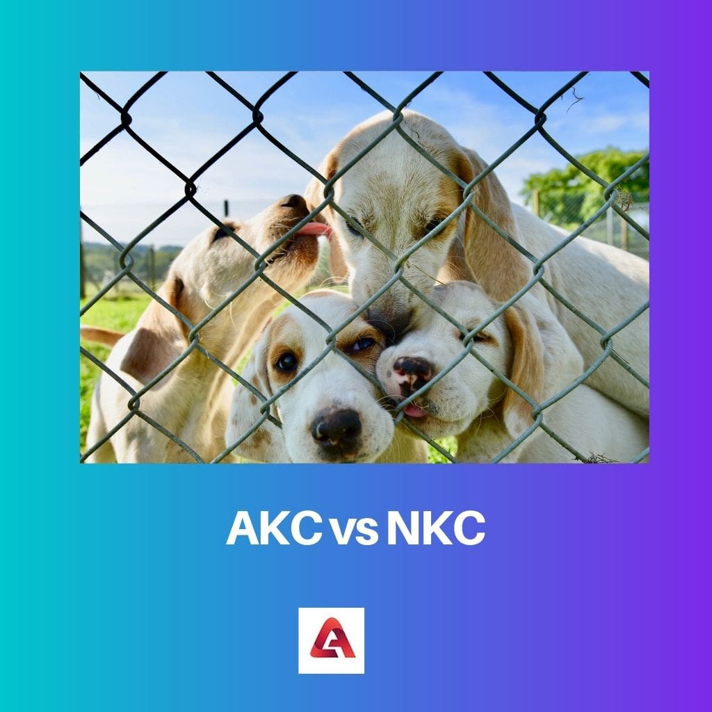 AKC vs NKC