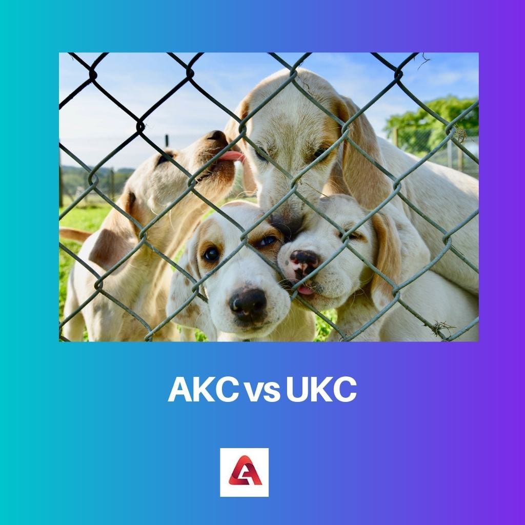 AKC vs UKC