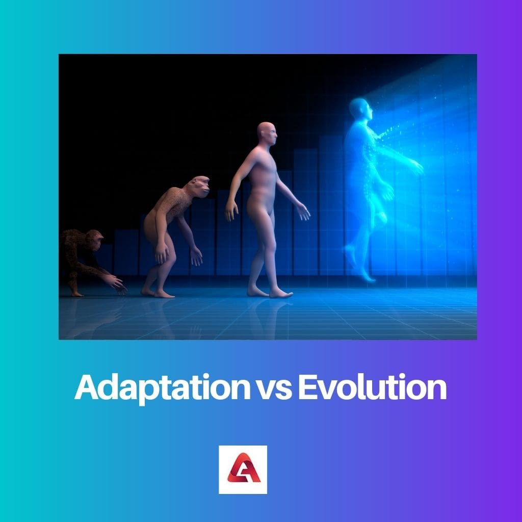 Adaptation vs évolution