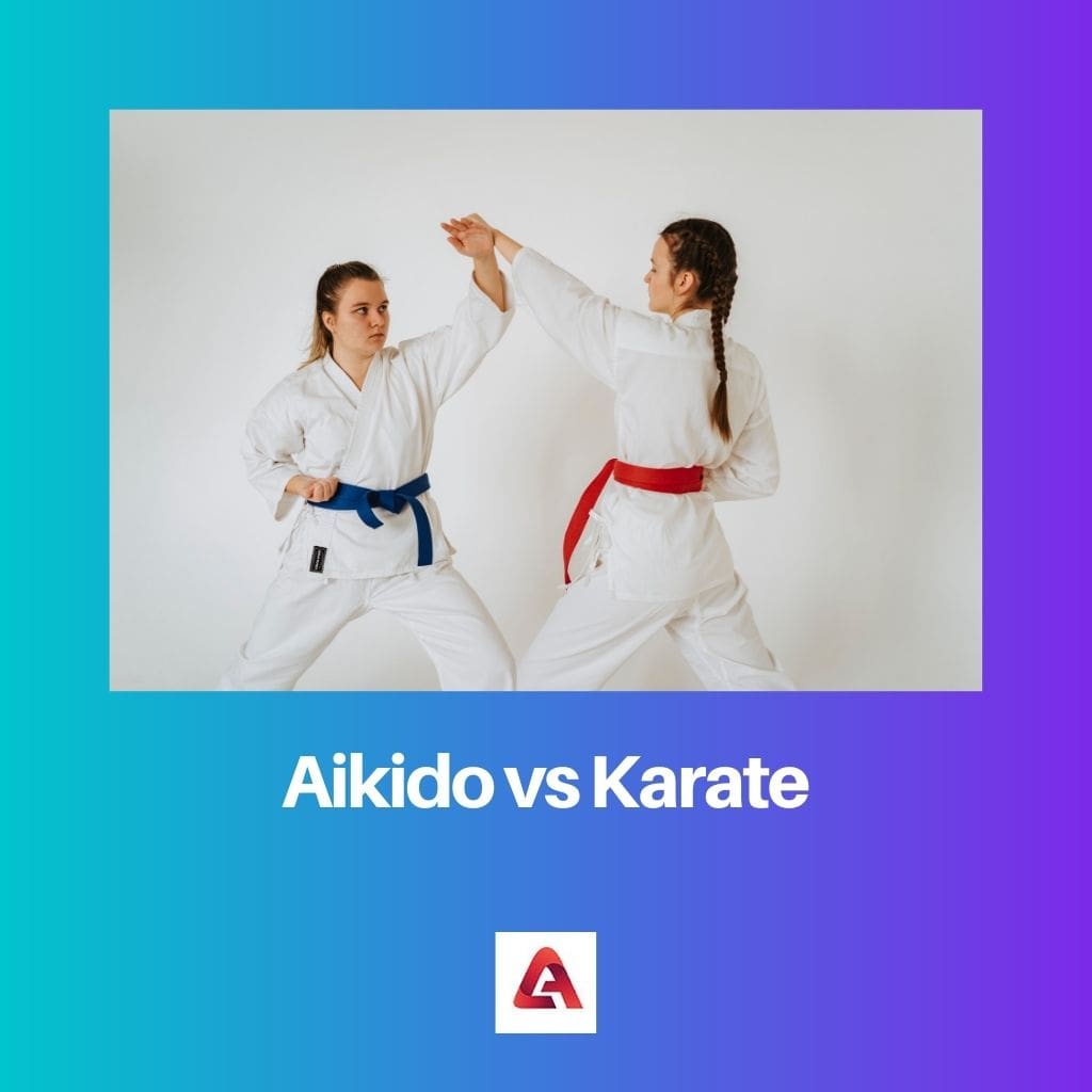 Aikido gegen Karate