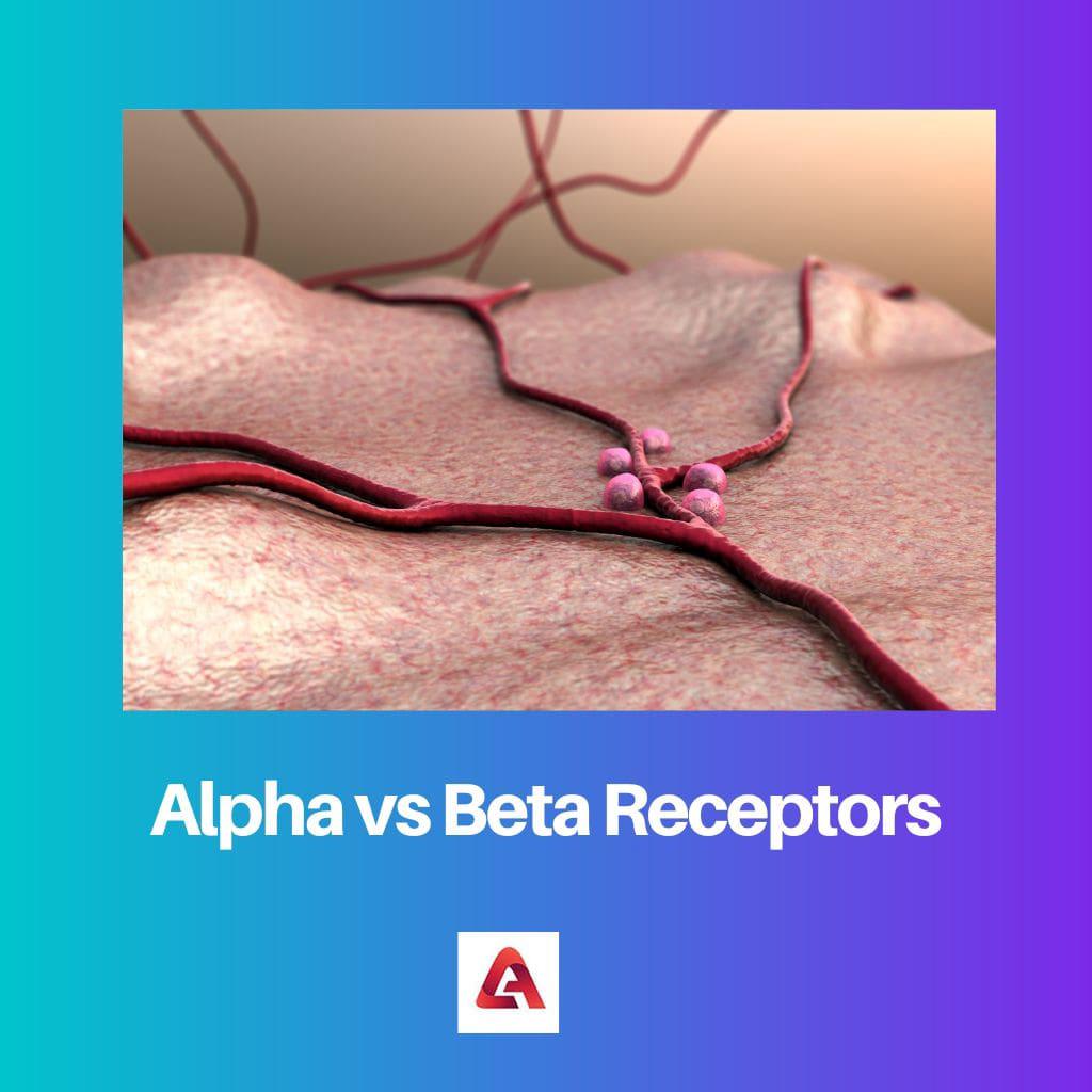 Alpha 与 Beta 受体