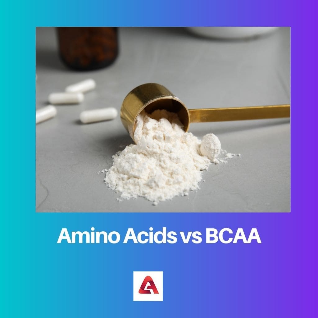 Amino Acids vs BCAA