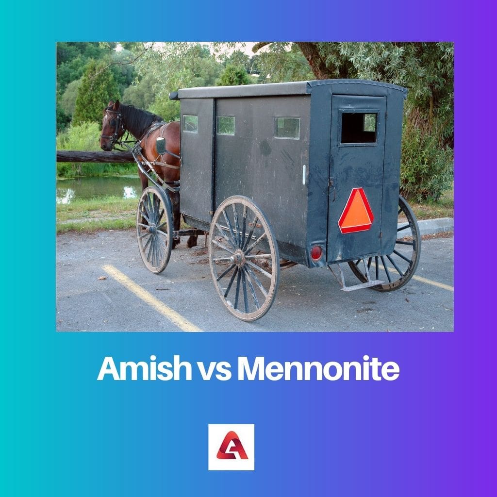Amish vs Mennonite