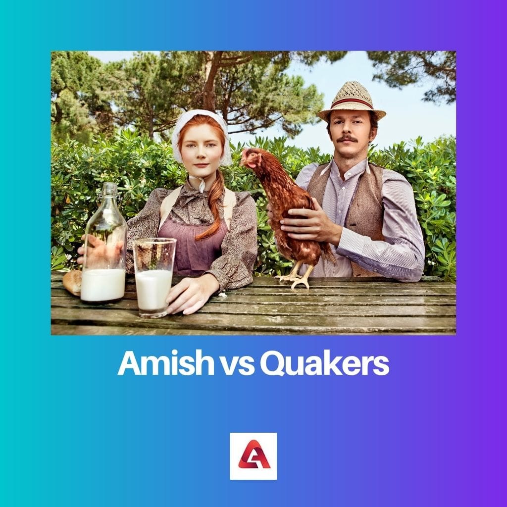 Amish vs Quaker