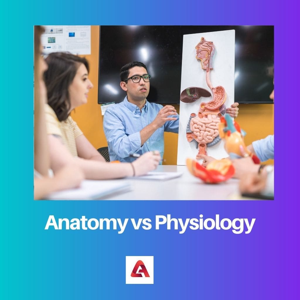 Anatomy vs Physiology