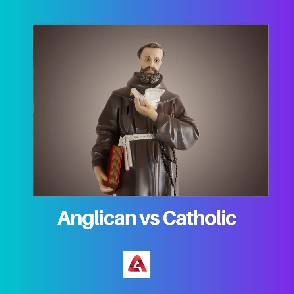 Anglican vs Catholic