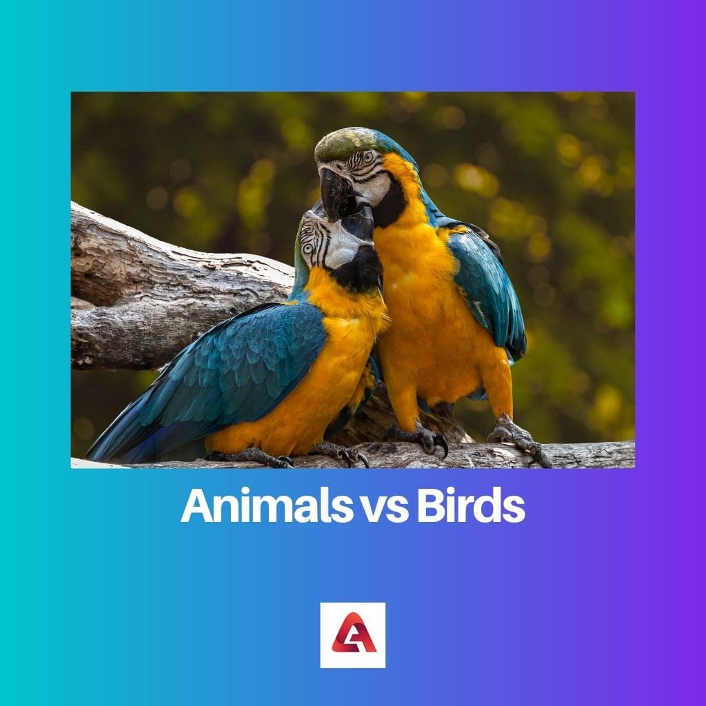 Tiere gegen Vögel