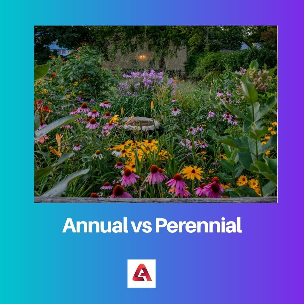 Annual vs Perennial
