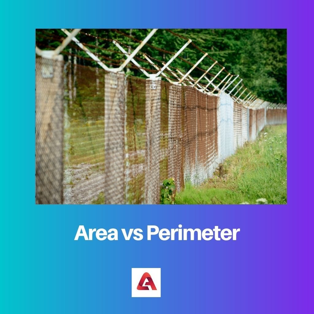 Area vs Perimetro